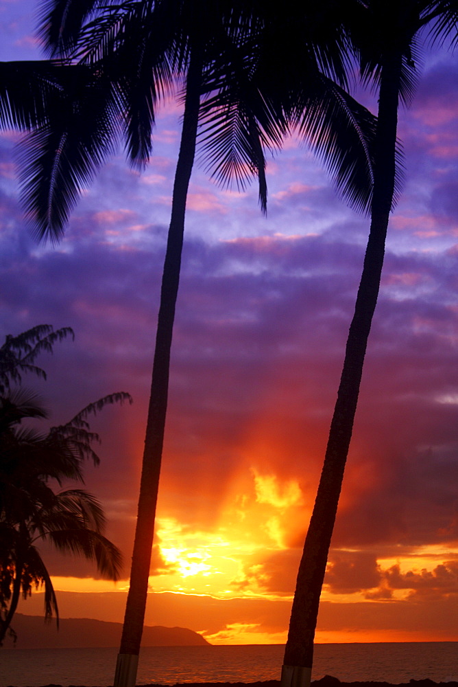 Hawaii, Oahu, Beautiful sunset.