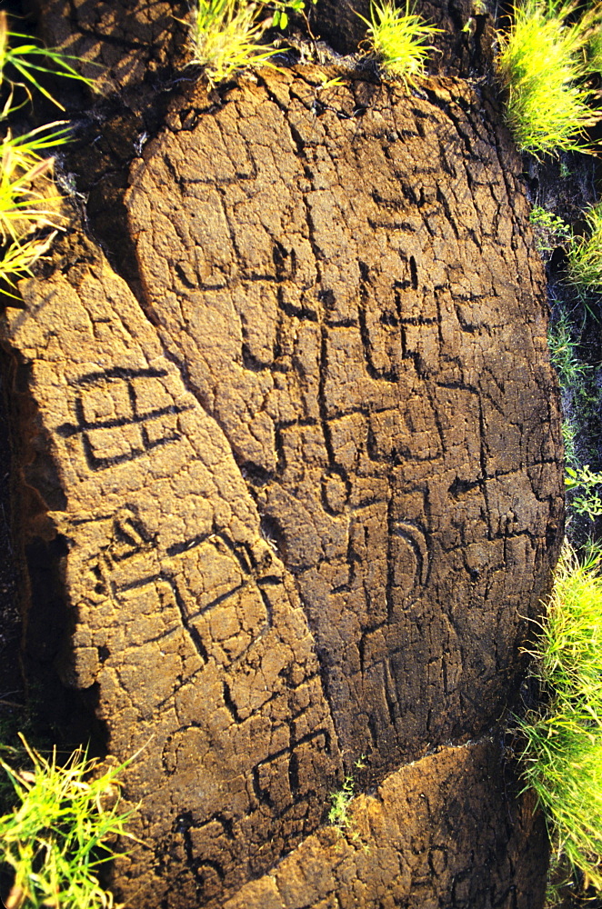 Hawaii, Big Island, Puako Petroglyph Archaeological Site, Ancient hawaiian carvings.