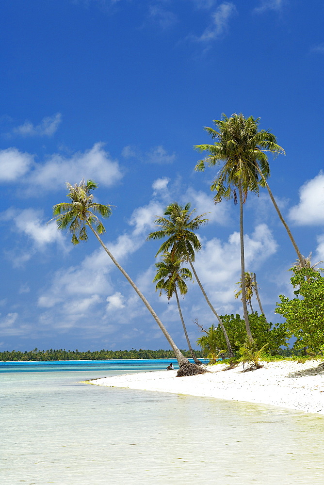 French Polynesia, Tahiti, Maupiti, lagoon beach with Palms trees and blue Sky.