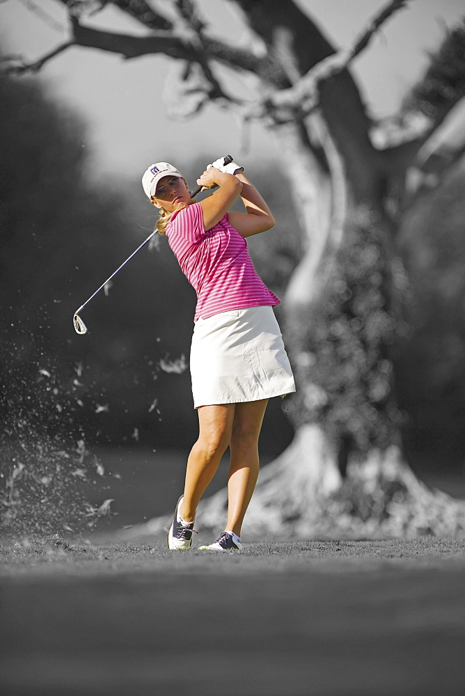 Hawaii, Maui, Wailea Gold Golf Course, Female golfer swinging golf club, turf flying from club, view from front.