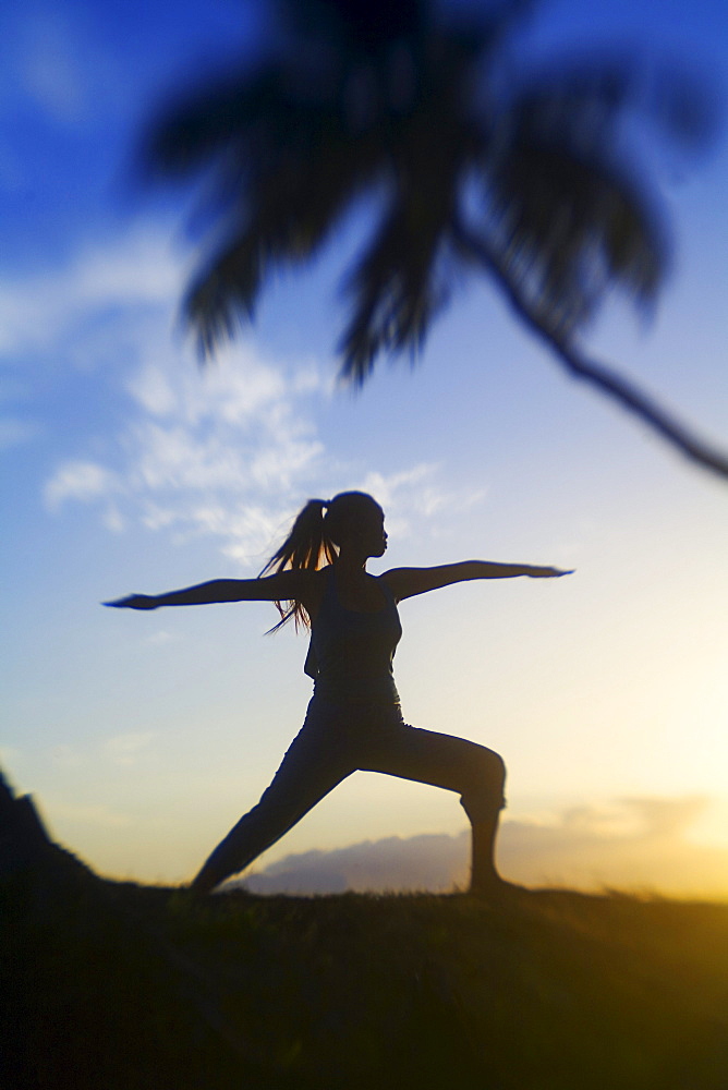 Hawaii, Maui, Olowalu, woman doing yoga at sunset under palm trees.