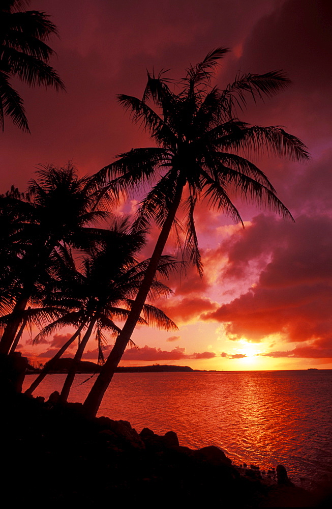 Guam, Tumon Bay, Bright red sunset and silhouetted palms on beach.