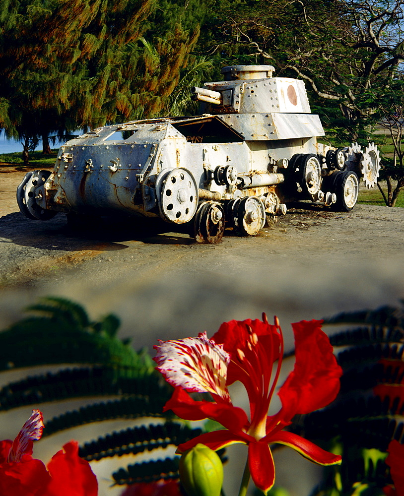 Micronesia, Saipan Beach Road, Japanese WW2 tank monument, flame tree flower