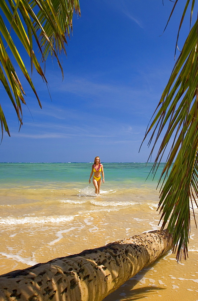 Hawaii, Oahu, Beautiful young woman walking in from water on a tropical beach