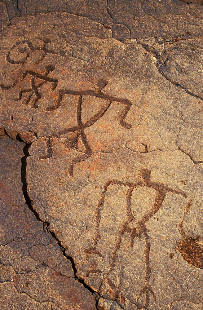 Hawaii, Big Island, South Kohala, Hawaiian petroglyphs, Anaeho'omalu,