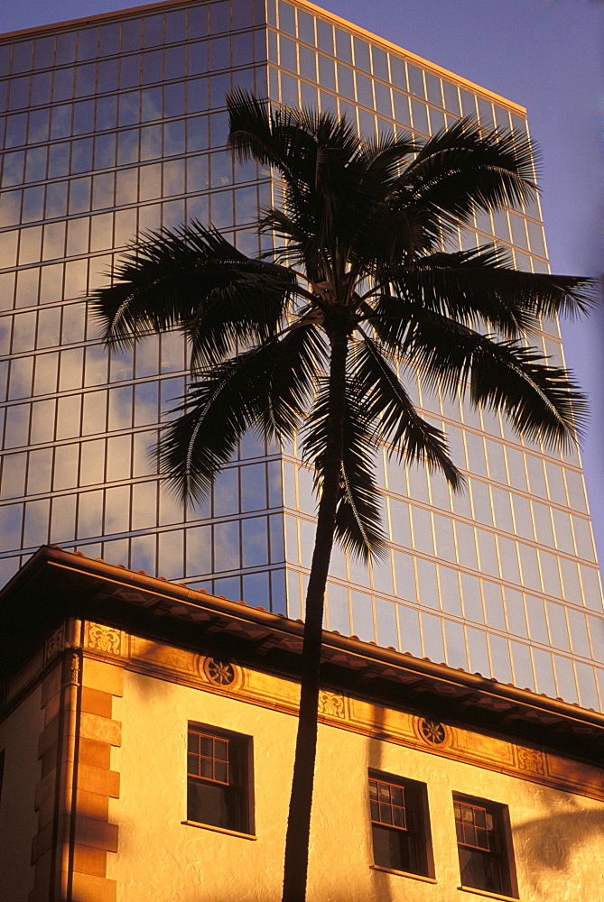 Hawaii, Oahu, Pacific Guardian Life, with Dillingham Transportation bldg in Honolulu