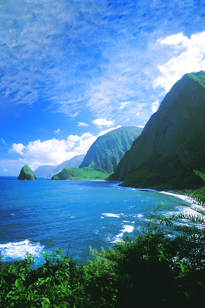 Hawaii, Molokai, North Shore, Cliffs, palm trees