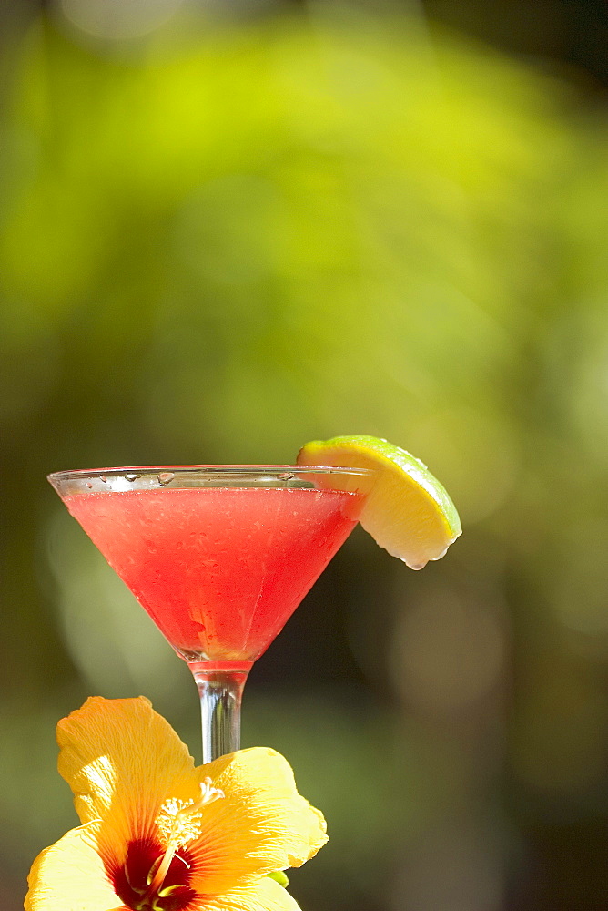 Close-up of a refreshing tropical cocktail