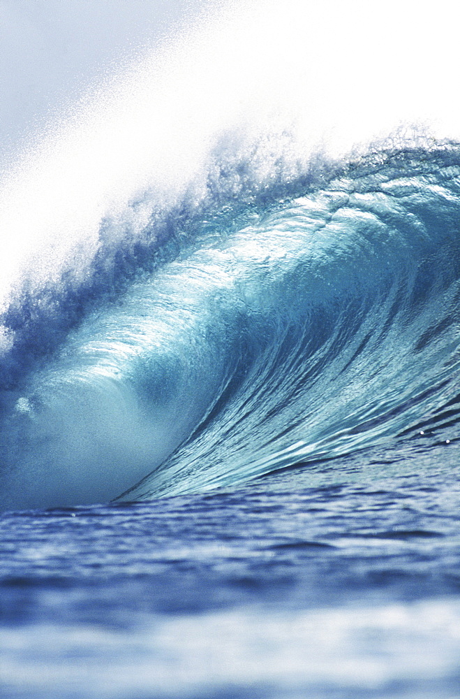 Hawaii, Oahu, Perfect wave at Pipeline.