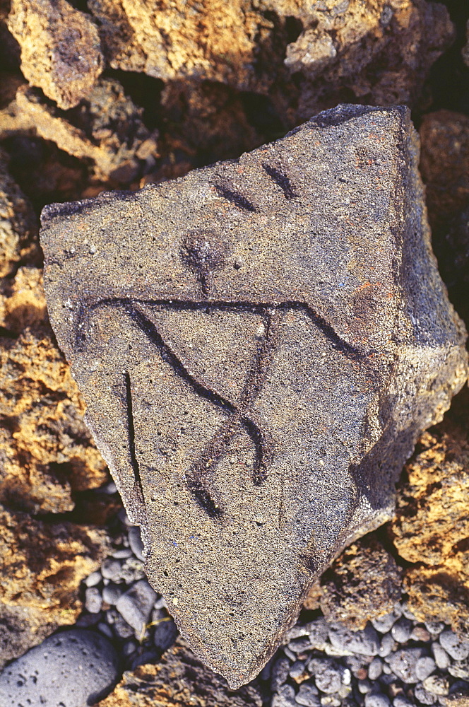 Hawaii, Big Island, South Kohala, Hawaiian petroglyphs, Anaeho'omalu,