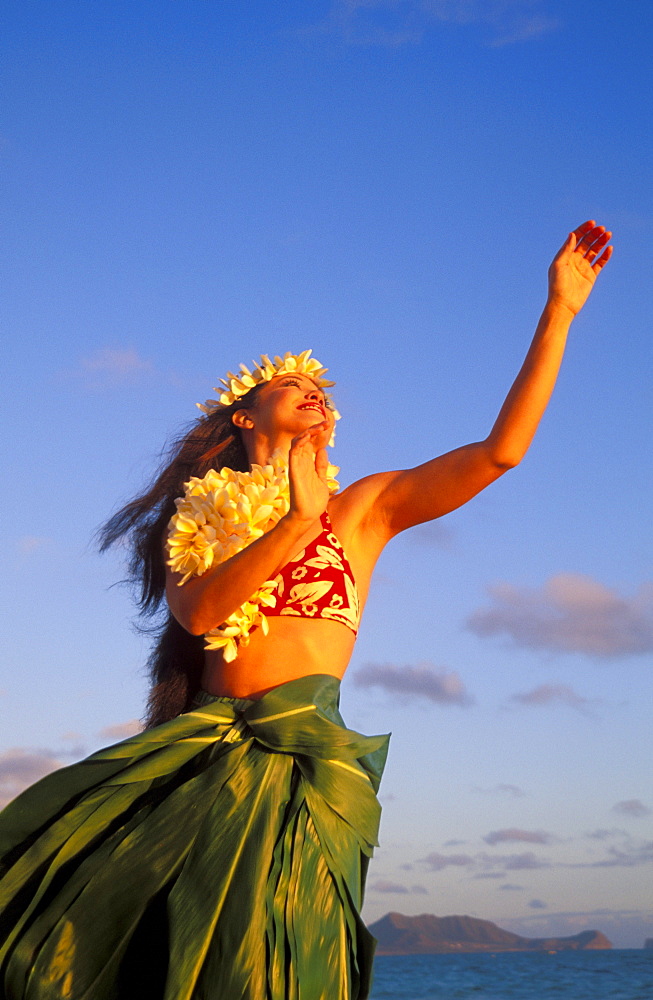 Close-up upward view of hula woman wearing ti-leaf skirt, plumeria haku and lei blue sky ocean