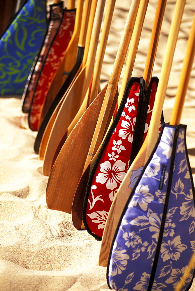 Hawaii, Paddles with aloha print covers lined up across sand