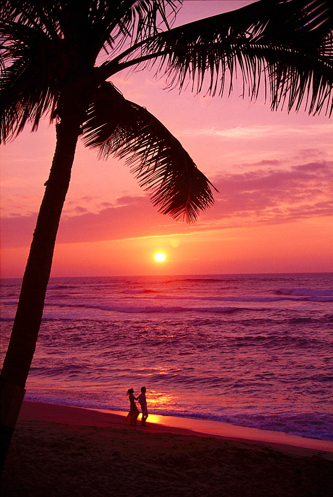 Hawaii, Couple silhouetted on the beach at sunset with tall palm foreground, 