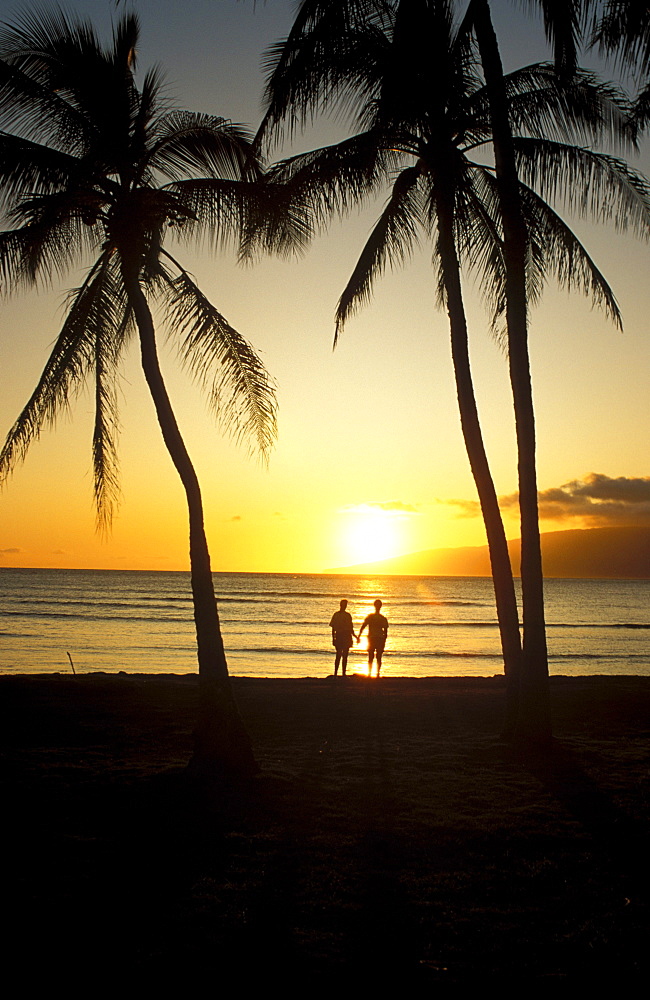 Hawaii, Maui, Couple enjoys sunset at beach, silhouette,