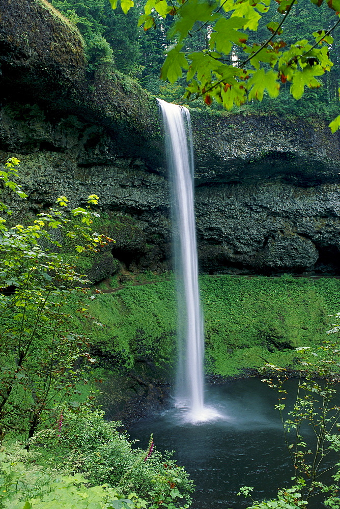 Oregon, Silver Falls National Park, South Falls, B1653