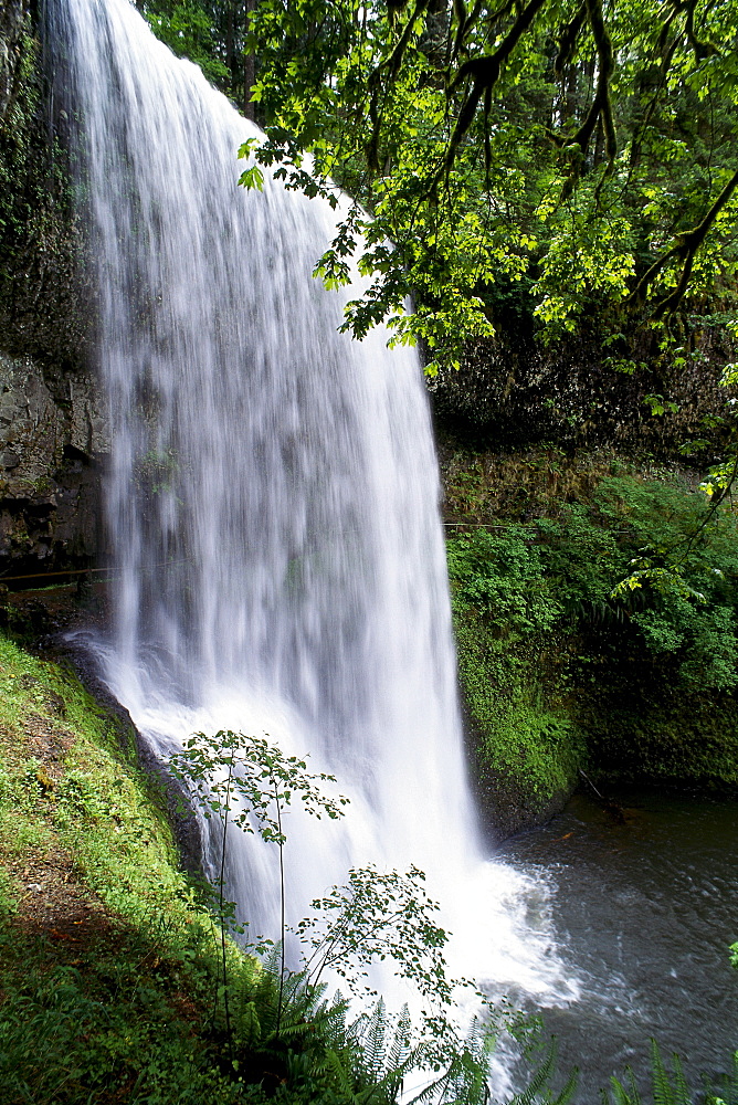 Oregon, Silver Falls State Park, Lower South Falls, B1648