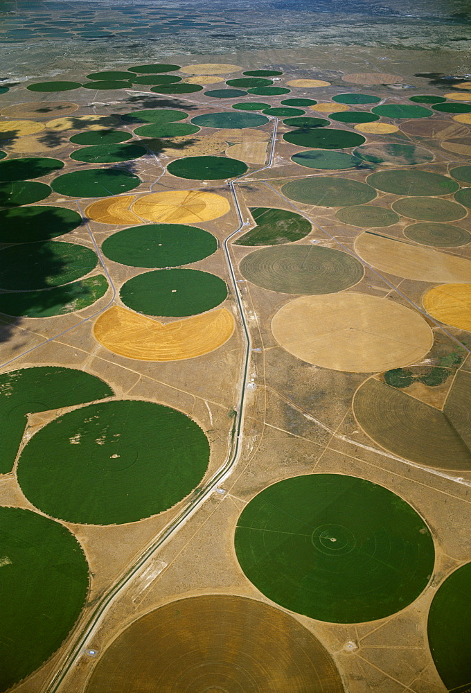 Agriculture - Aerial view of center pivot irrigated circular agricultural fields / near Farmington, New Mexico, USA.