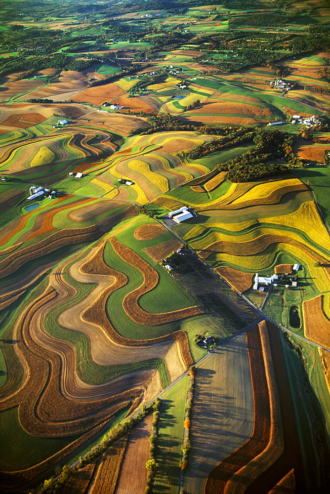 Agriculture - Aerial view of farmsteads surrounded by rolling contoured agricultural fields / near Reading, Pennsylvania, USA.