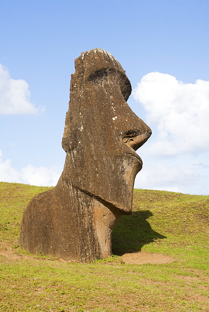 Moai By The Quarry On The Outer Slope Of The Rano Raraku Volcano, Rapa Nui (Easter Island), Chile