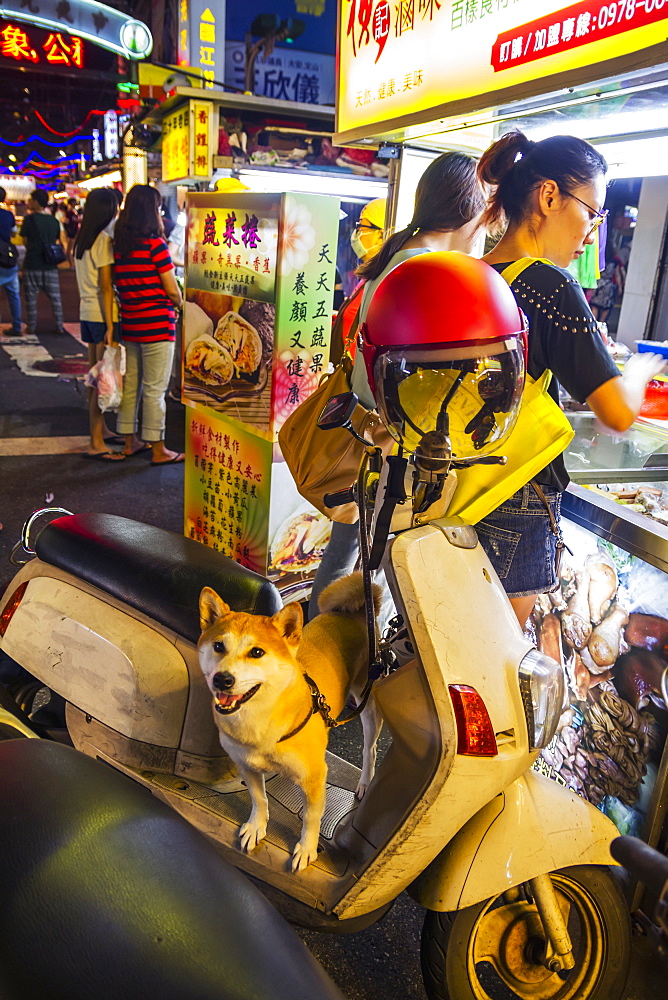 Dog standing on a motorcycle at the Linjiang Street Night Market, Taipei, Taiwan