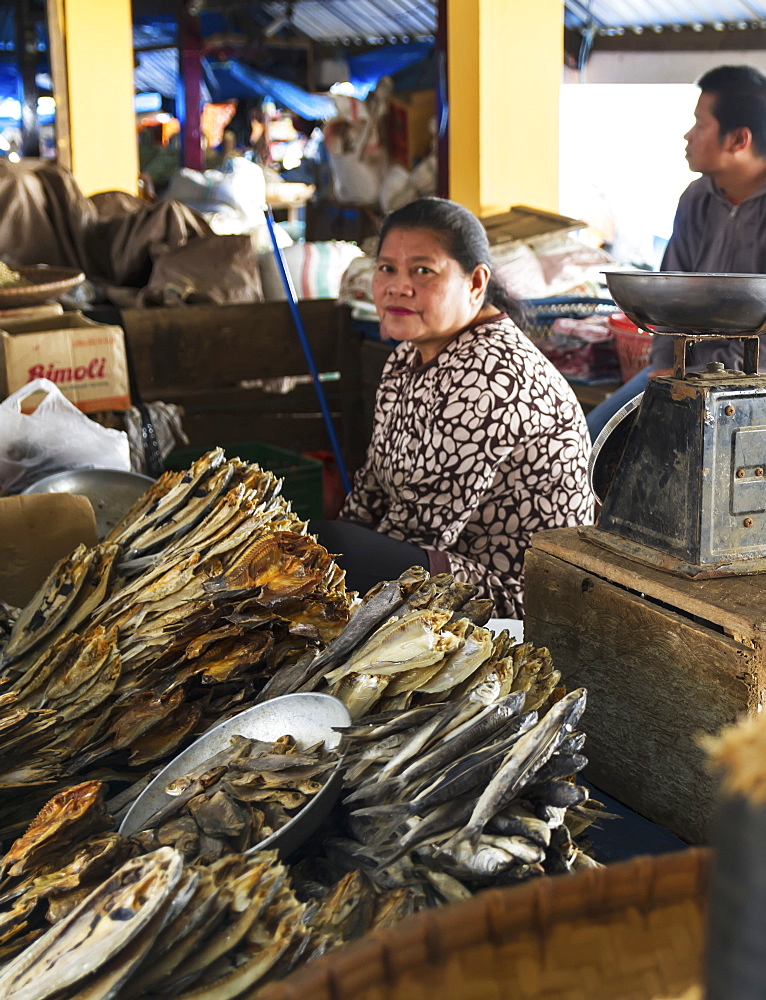 Dried fish vendor at the Bolu market, Rantepao, Toraja Land, South Sulawesi, Indonesia