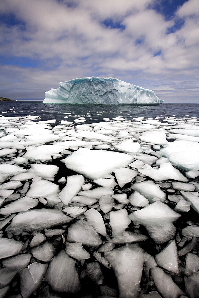 Floating Ice Shattered From Iceberg, Quirpon Island, Newfoundland & Labrador