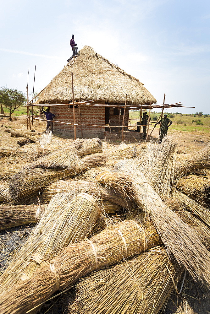 Workers building a grass thatched roof, Uganda