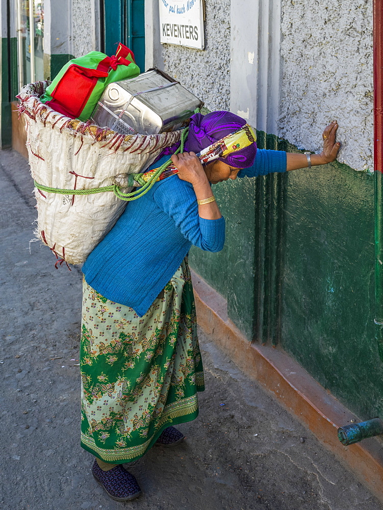 A woman pauses to rest against a wall while carrying a heavy load on her back, Darjeeling, West Bengal, India