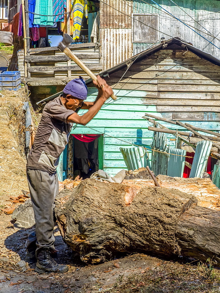 A man cuts bark off a tree stump with an axe, West Bengal, India