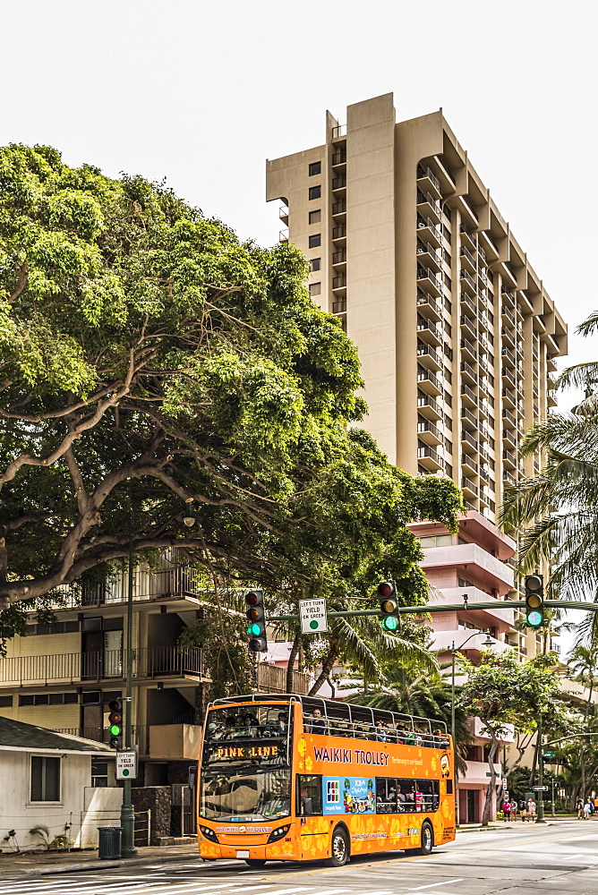 A Waikiki pink line trolley rolls down Kuhio Avenue near the intersection with Launiu Street, Honolulu, Oahu, Hawaii, United States of America