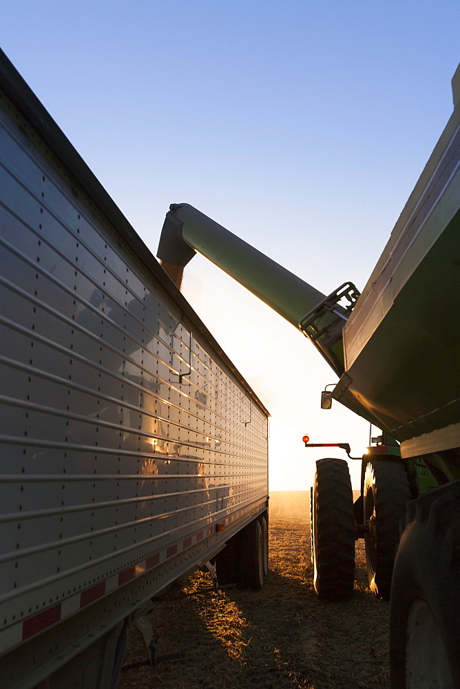 Tractor and grain wagon offloading soybeans into a truck at harvest, near Nerstrand, Minnesota, United States of America