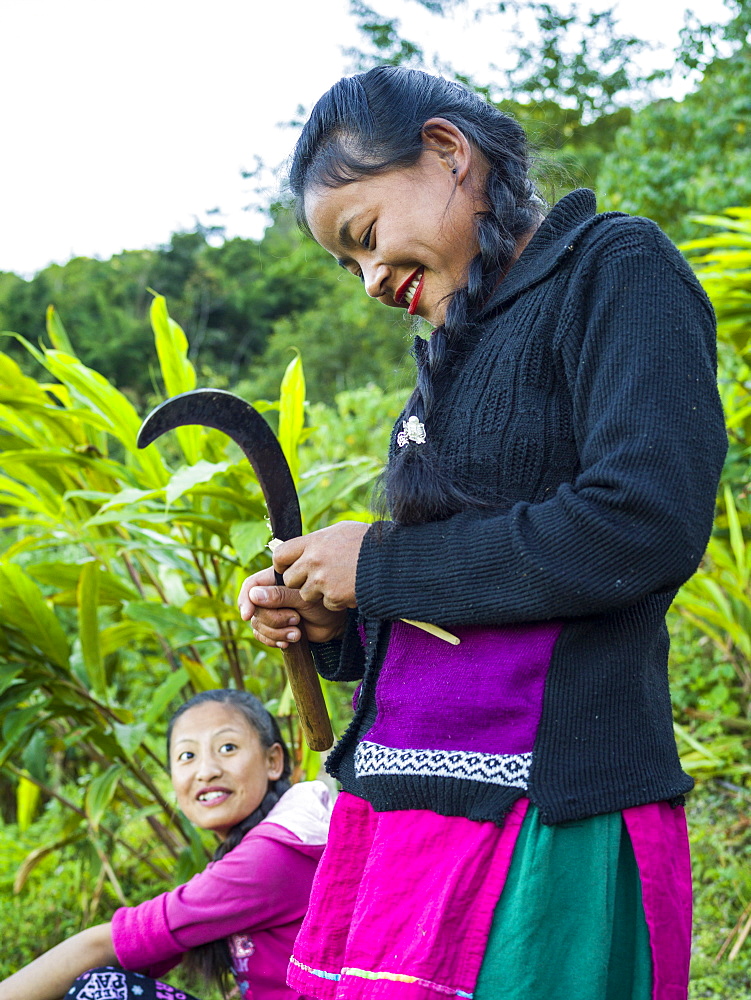 A woman of Indian ethnicity standing and using a curved blade, Sikkim, India