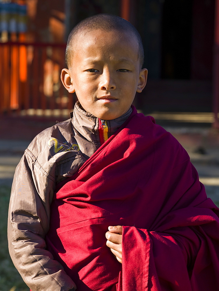 Portrait of a young buddhist monk, Sikkim, India