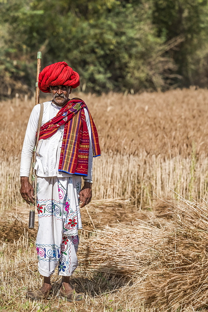 Local man keeping guard over the fields in Northern India, Rajasthan, India