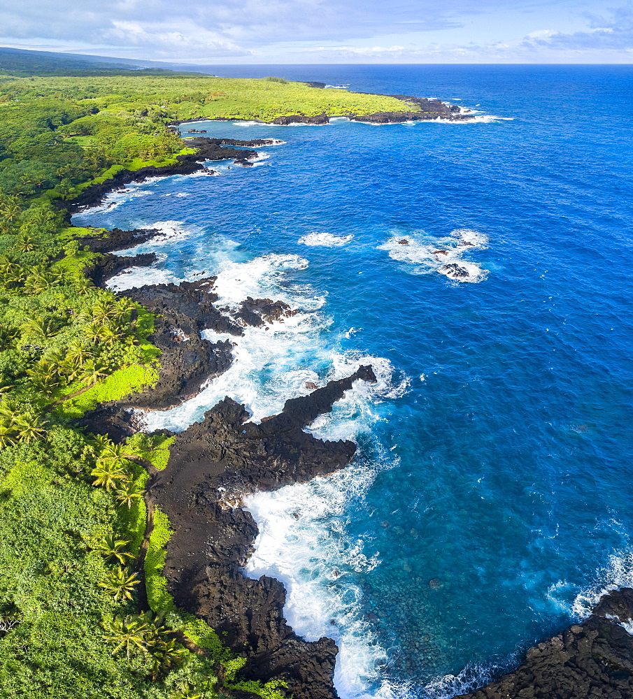 An aerial view of the coastline at Waianapanapa State Park, Hana, Maui, Hawaii. The famous black sand beach is in the bay at the top of the frame. Five images were combined for this stitched composite, Hana, Maui, Hawaii, United States of America