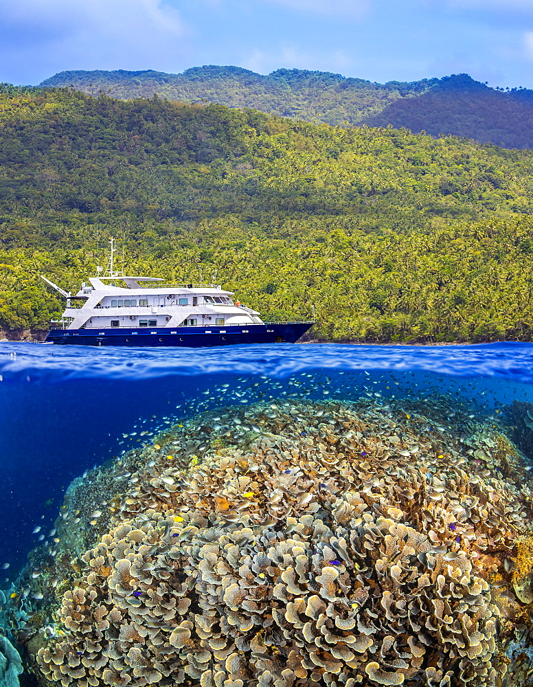 A split scene with a shallow hard coral reef below water and island above with the live aboard dive vessel Infiniti, Philippines