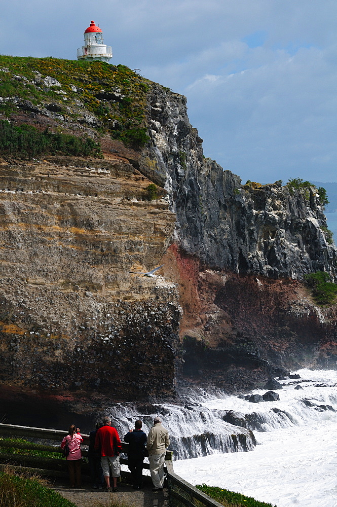 View of the Royal Albatross Centre at Taiaroa Head, Otago, South Island, New Zealand, Pacific 