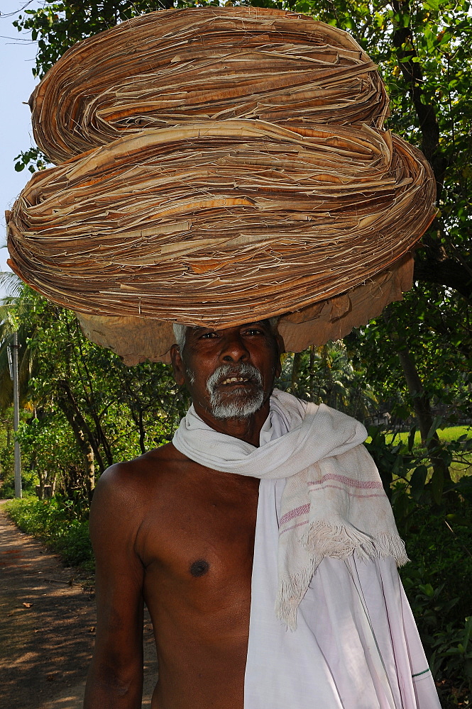 A villager carrying the banana pulp, Tanjore, Tamil Nadu, India, Asia