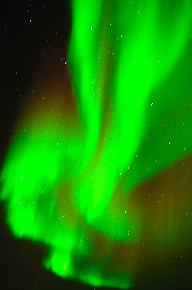 Northern Lights (Aurora borealis), Churchill, Hudson Bay, Manitoba, Canada, North America 