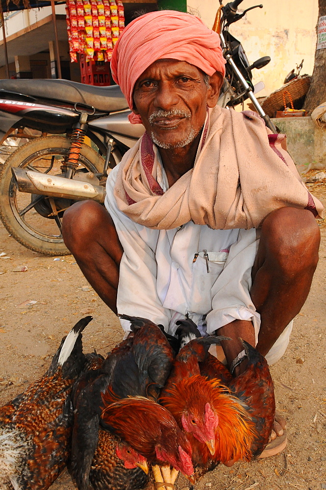 Chicken seller in rural India, Maralwadi, Karnataka, India, Asia