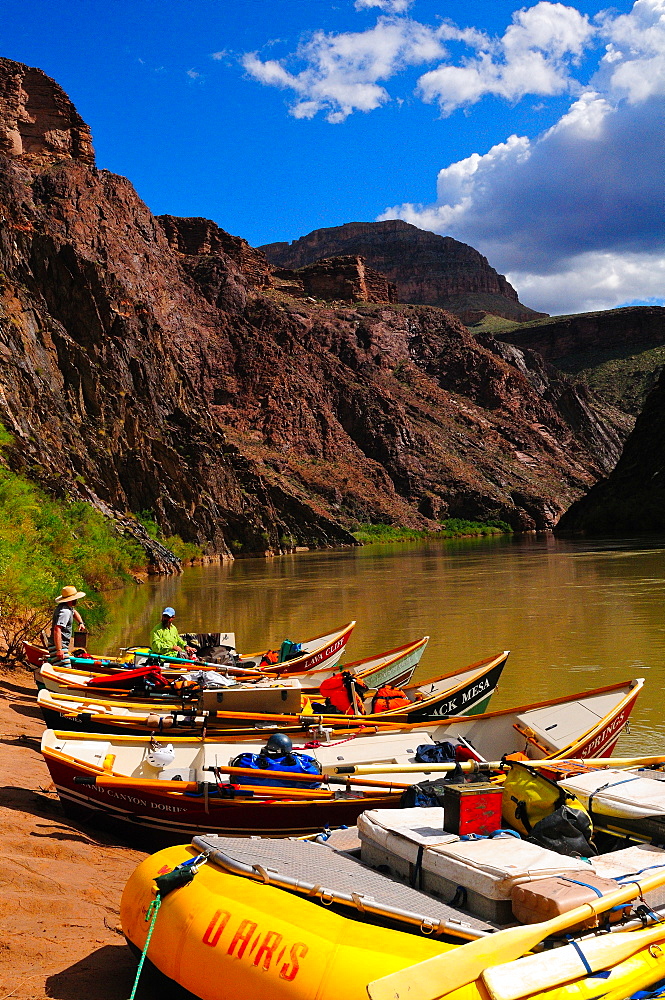 Dory moored along the Colorado River, Colorado, United States of America, North America