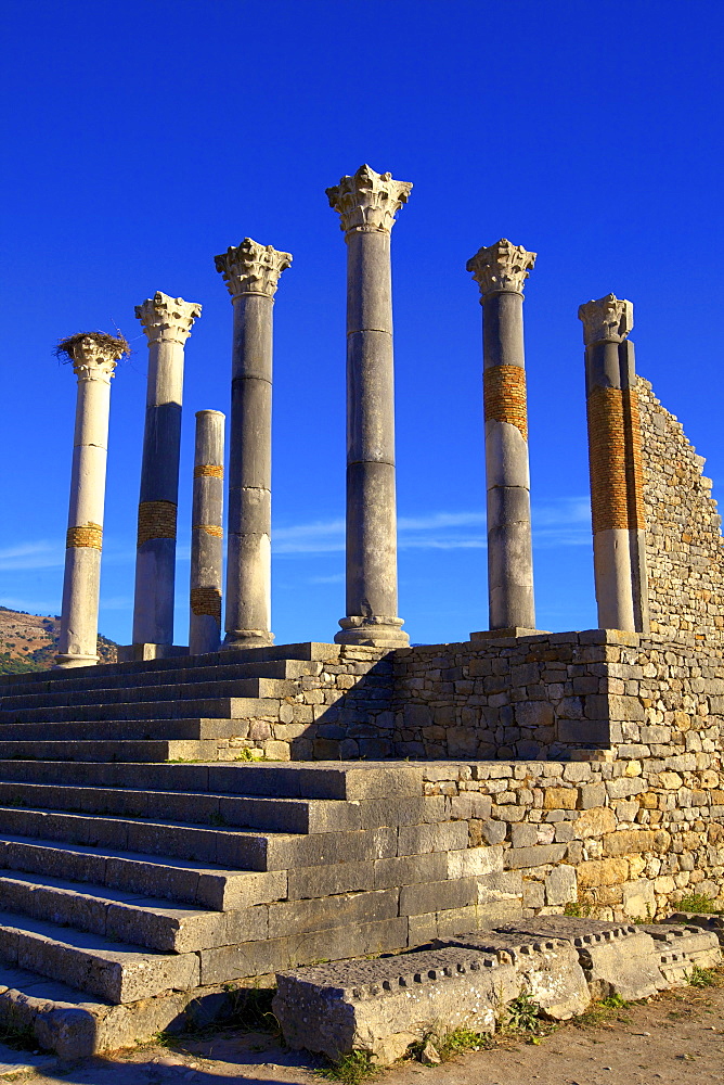 Excavated Roman City, Volubilis, UNESCO World Heritage Site, Morocco, North Africa, Africa