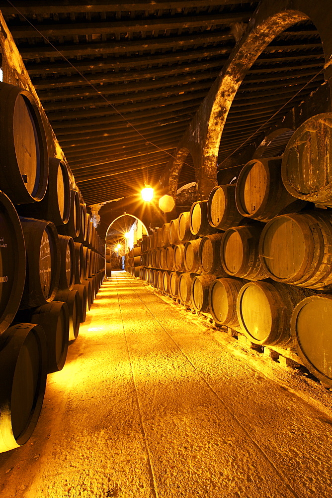 Bodegas Harvey, Jerez de la Frontera, Cadiz Province, Andalucia, Spain, Europe