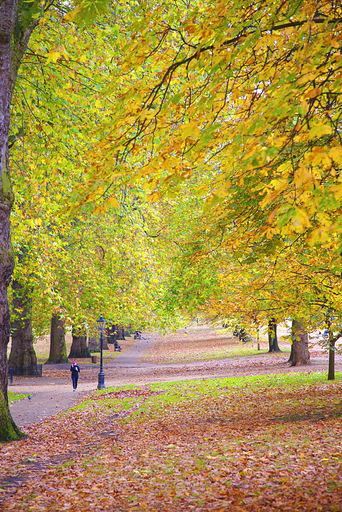 Walking in an autumnal Hyde Park, London, England, United Kingdom, Europe 