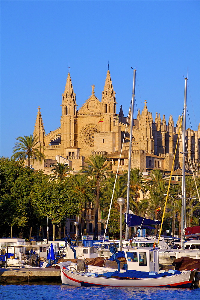 Cathedral and Harbour, Palma, Mallorca, Spain, Europe