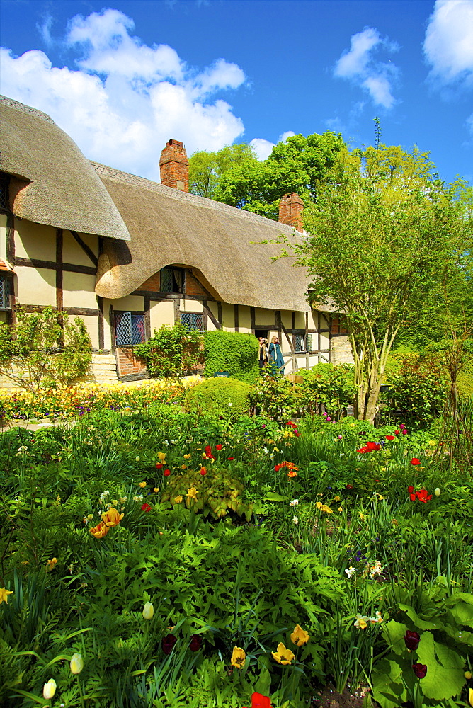 Anne Hathaway's Cottage, Shottery, Stratford upon Avon, Warwickshire, England, United Kingdom, Europe