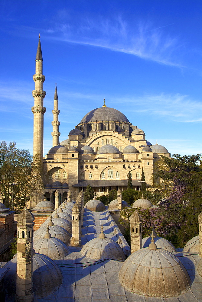 Suleymaniye Mosque, UNESCO World Heritage Site, Istanbul, Turkey, Europe 