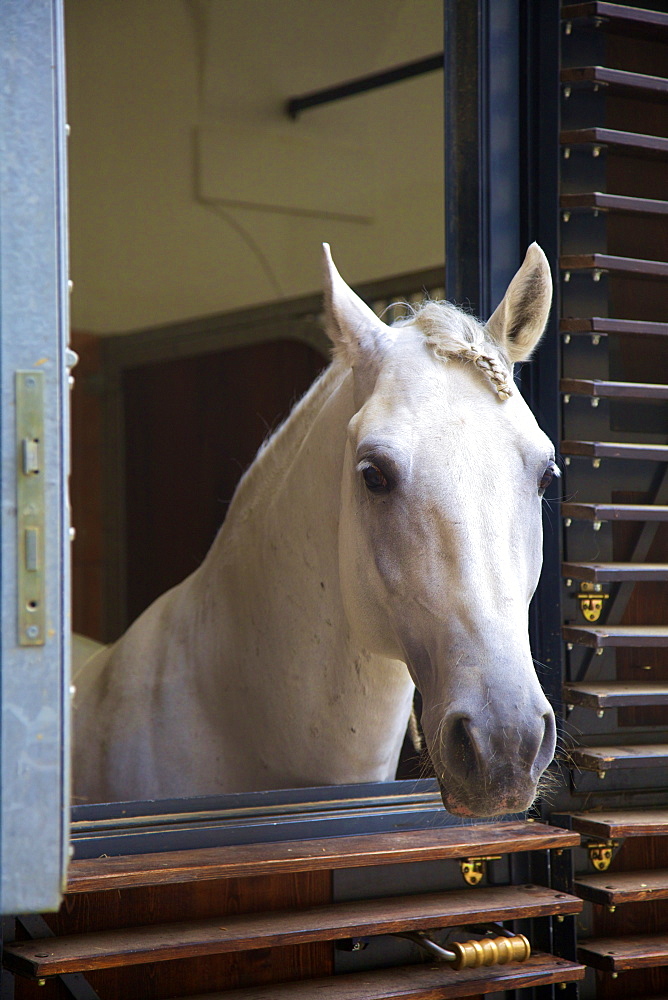 Spanish Riding School Stables, Vienna, Austria, Europe