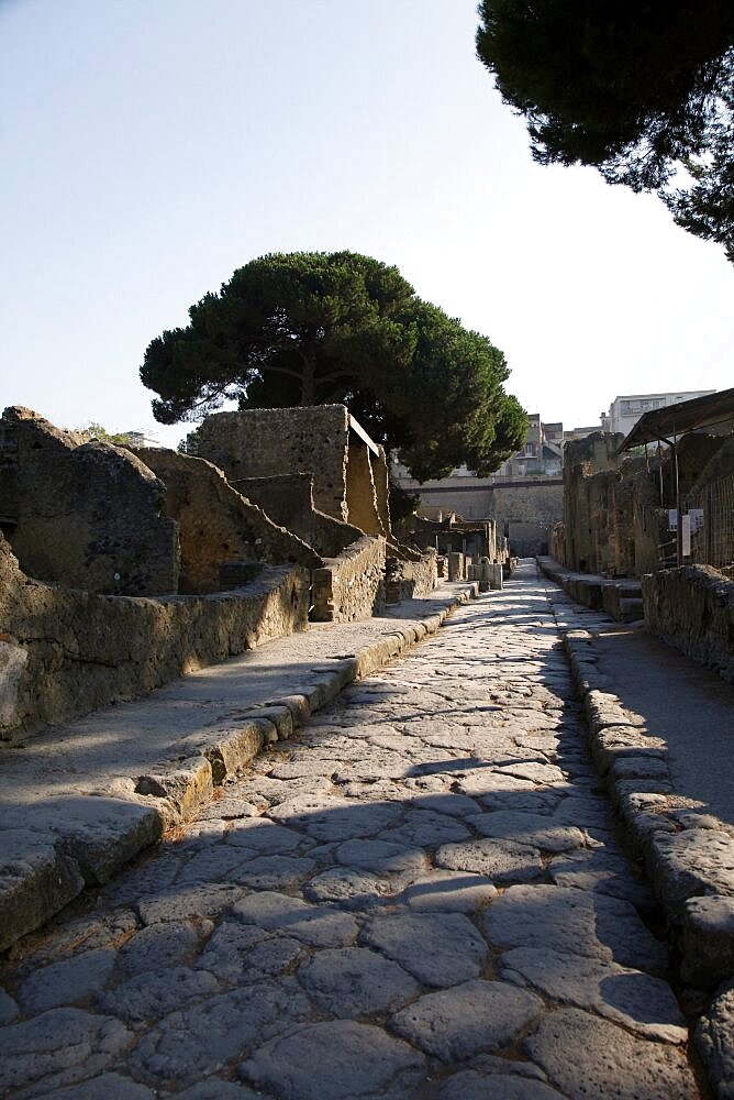 Ancient Roman street, Herculaneum, UNESCO World Heritage Site, Naples, Campania, Italy, Europe