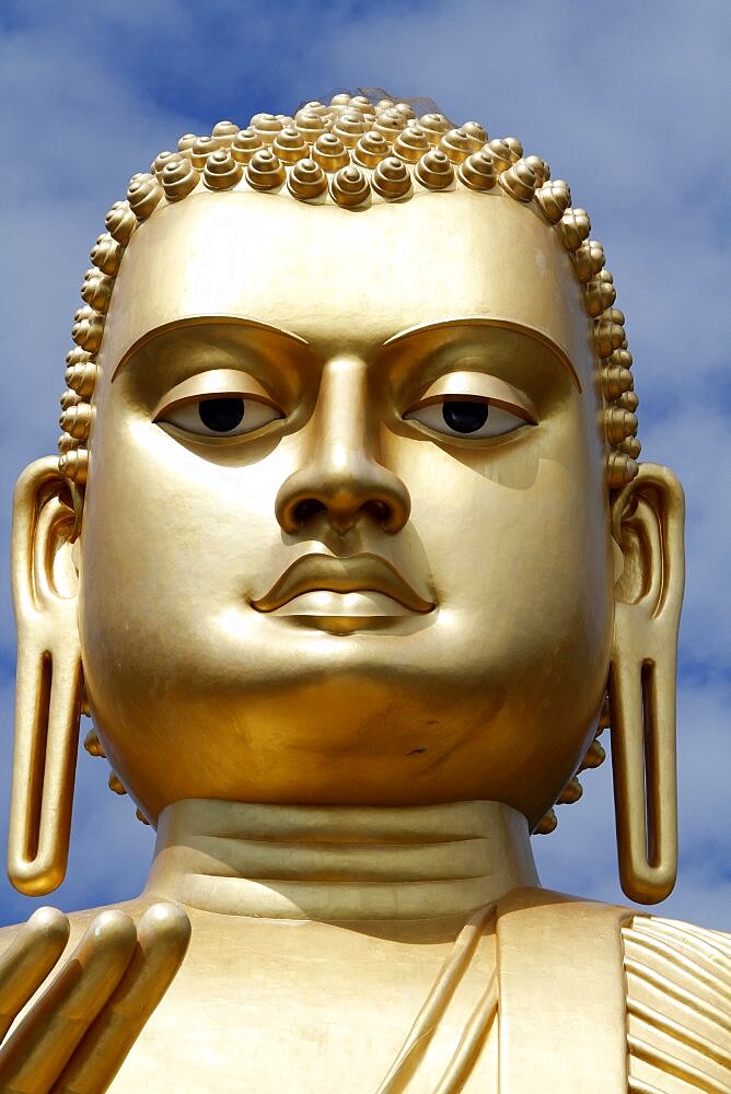 Big Buddha face, Dambulla, Sri Lanka, Asia